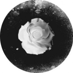 Zev - Queen of Hearts EP - 12" Vinyl